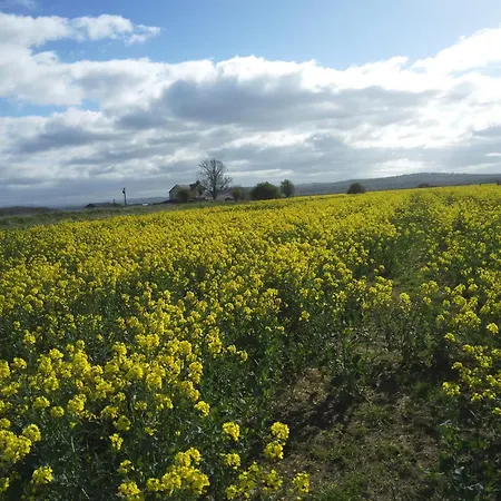 Tatil Evi Sunnyside Farm *