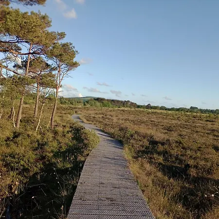 Tatil Evi Sunnyside Farm