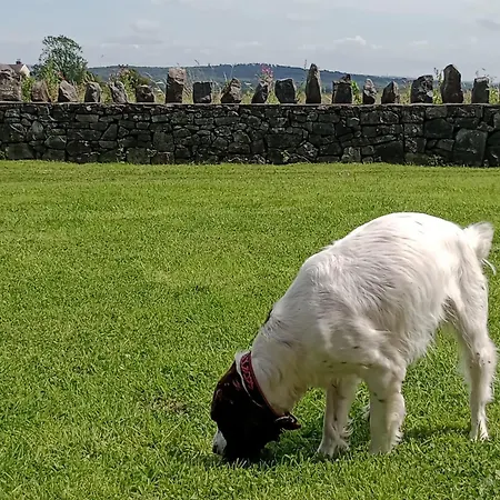 Sunnyside Farm Grange-over-Sands