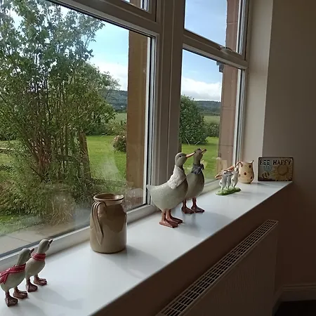 Sunnyside Farm Tatil Evi *