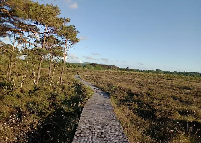 Hébergement de vacances Sunnyside Farm