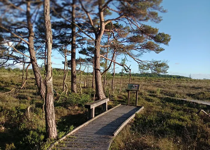 Sunnyside Farm Hébergement de vacances