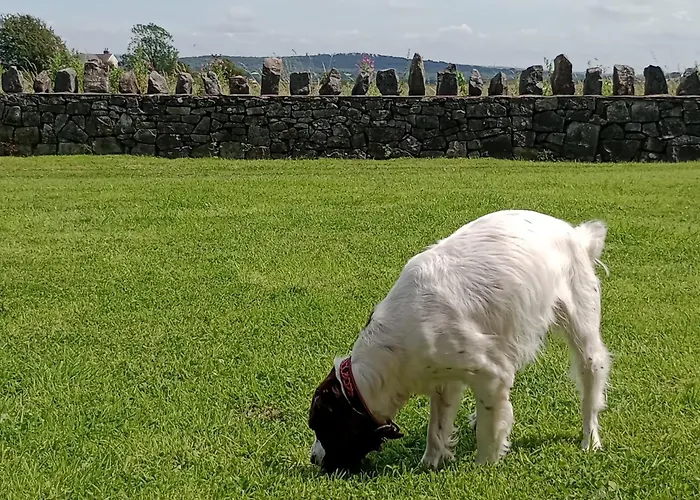 Sunnyside Farm Grange-over-Sands