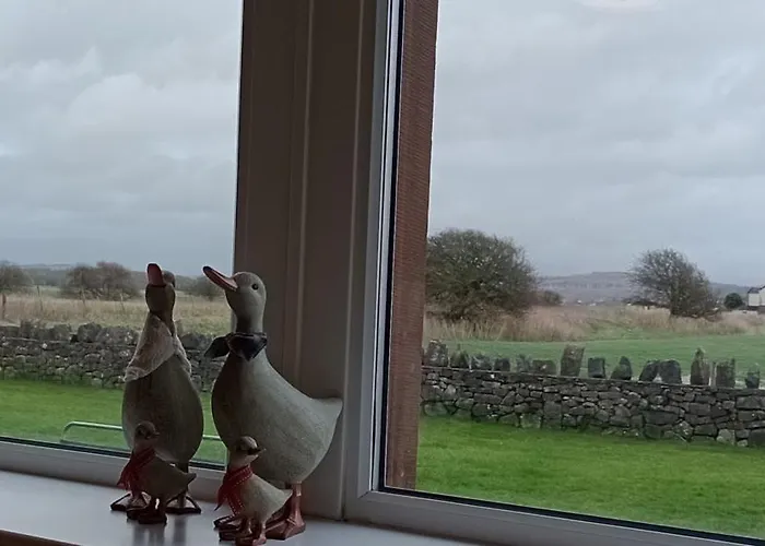 Hébergement de vacances Sunnyside Farm *